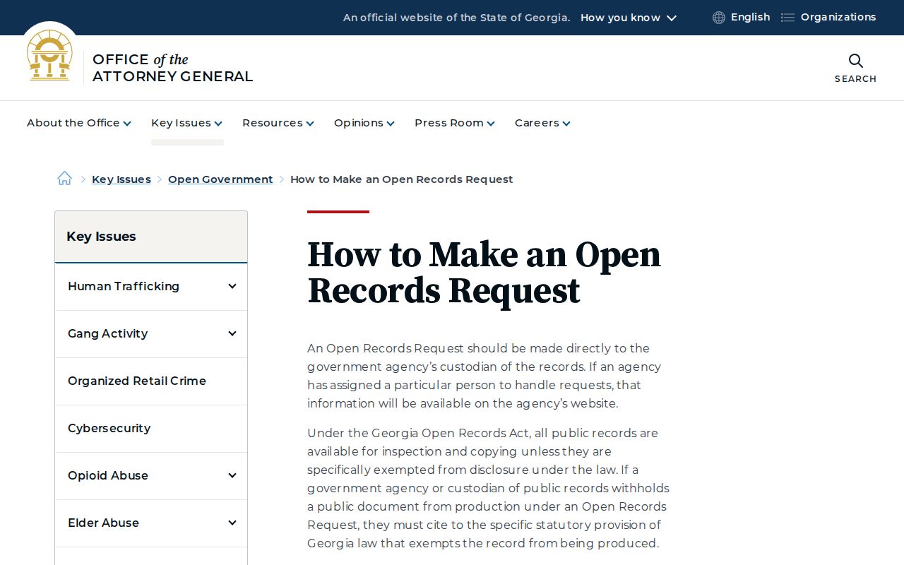 Wayne County docket search Georgia Open Records request guidance